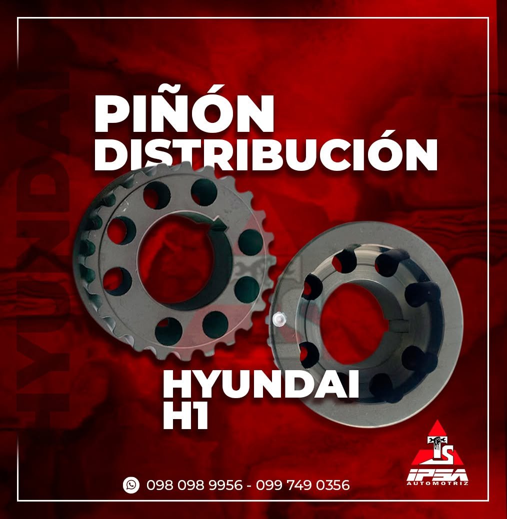 Piñon Distribucio H1